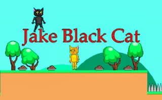 Image Jake Black Cat